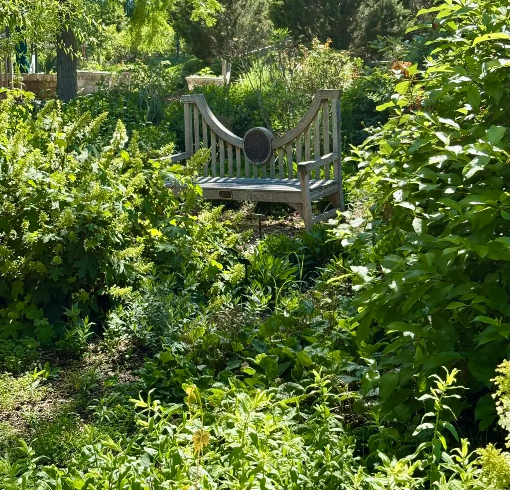 Bench in Garden at Cheekwood