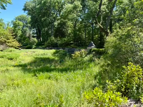 Meadow at Cheekwood