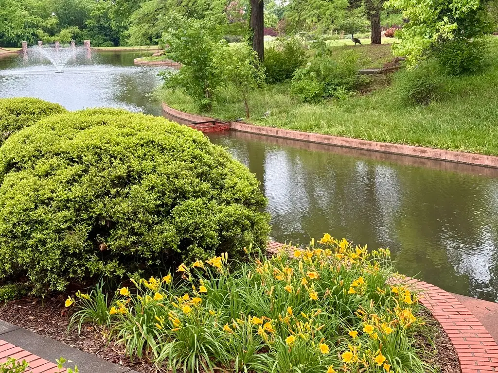 Inlet of pond at Will Rogers Garden