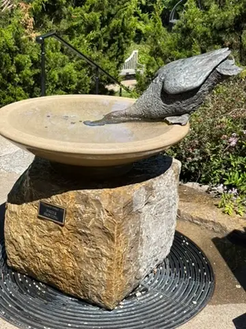 Dipping Duck Fountain at Cheekwood